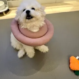 베스트 후기 이미지