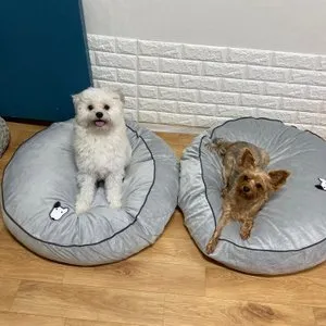 베스트 후기 이미지