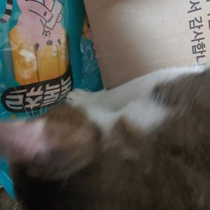 베스트 후기 이미지