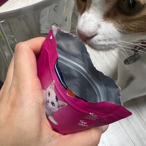 베스트 후기 이미지
