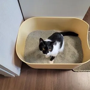 베스트 후기 이미지