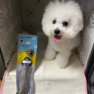 베스트 후기 이미지