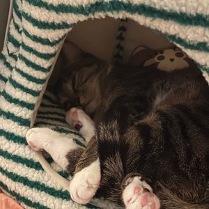 베스트 후기 이미지