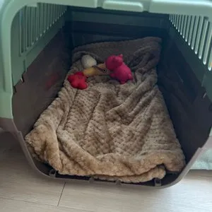 베스트 후기 이미지