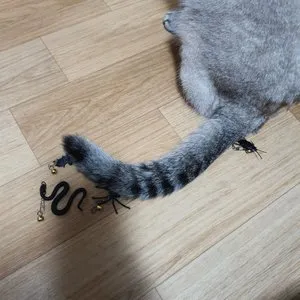 베스트 후기 이미지