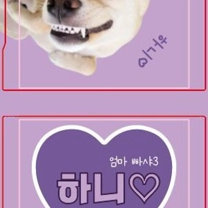 [무료배송] 마이덴티티 1:1 포토 주문제작 케이스 베스트 후기 이미지