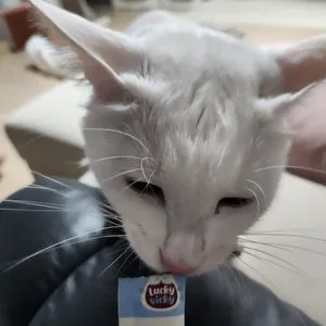 베스트 후기 이미지