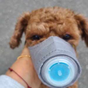 베스트 후기 이미지