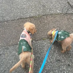 베스트 후기 이미지