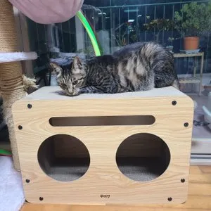 베스트 후기 이미지