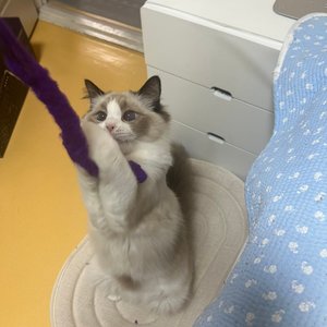 베스트 후기 이미지