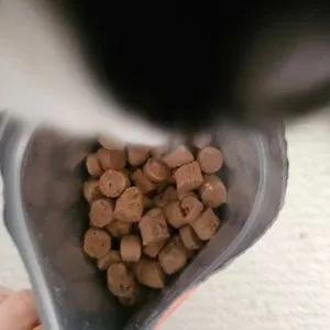 베스트 후기 이미지