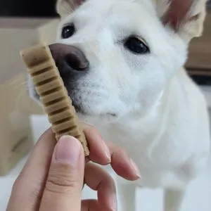 베스트 후기 이미지