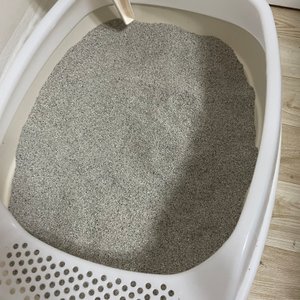 베스트 후기 이미지