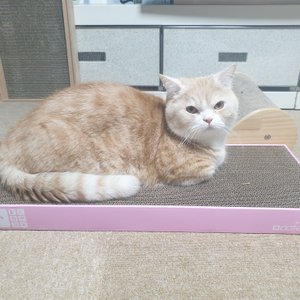 베스트 후기 이미지