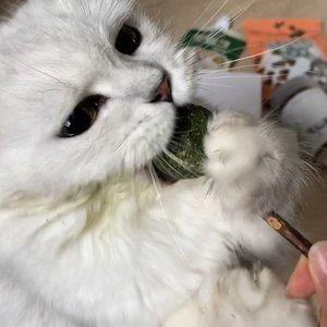 베스트 후기 이미지
