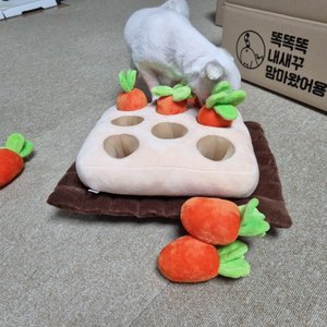 베스트 후기 이미지