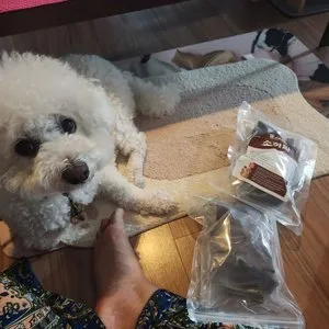 베스트 후기 이미지