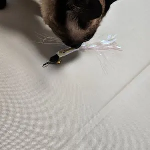 베스트 후기 이미지