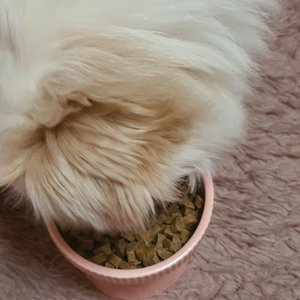 베스트 후기 이미지