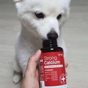 베스트 후기 이미지