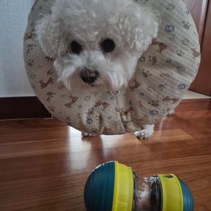 베스트 후기 이미지