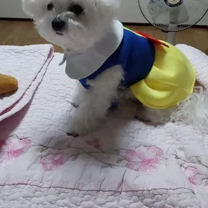 베스트 후기 이미지