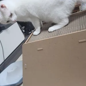 베스트 후기 이미지