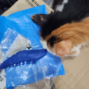 베스트 후기 이미지