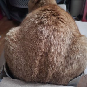베스트 후기 이미지