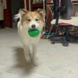 베스트 후기 이미지