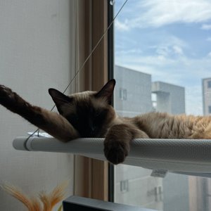 베스트 후기 이미지
