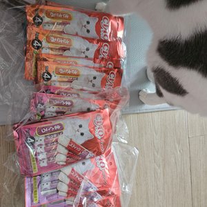 베스트 후기 이미지