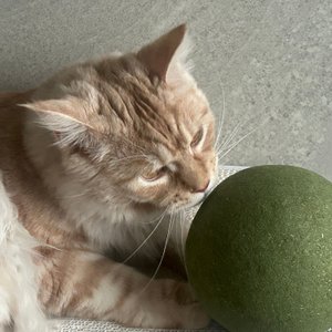 베스트 후기 이미지