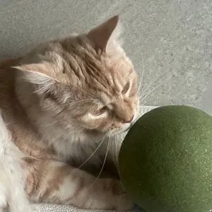 베스트 후기 이미지