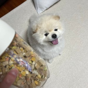 베스트 후기 이미지