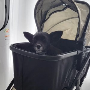 베스트 후기 이미지