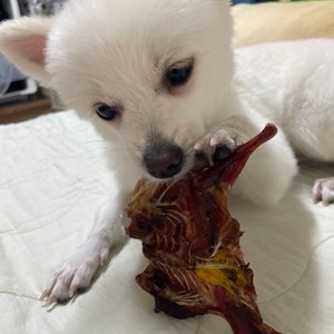 베스트 후기 이미지