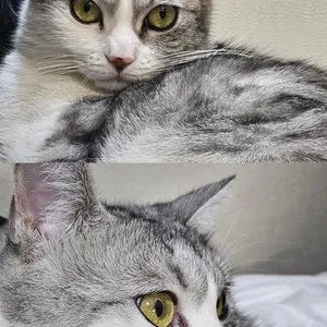 베스트 후기 이미지