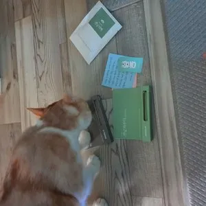 베스트 후기 이미지