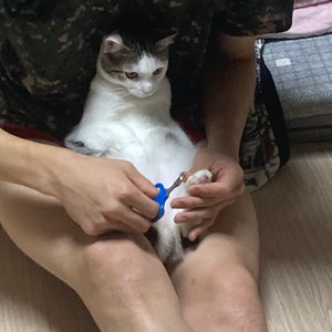 베스트 후기 이미지