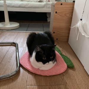 베스트 후기 이미지