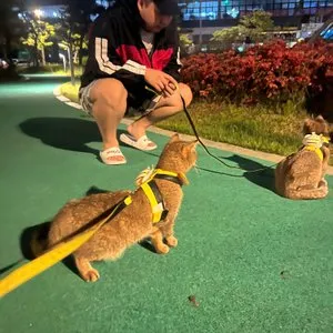 베스트 후기 이미지