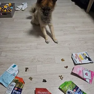 베스트 후기 이미지