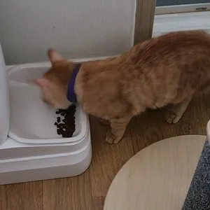 베스트 후기 이미지