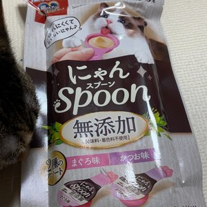 베스트 후기 이미지