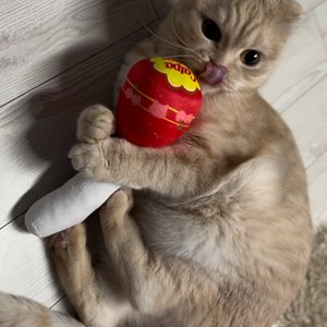 베스트 후기 이미지