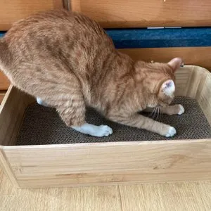 베스트 후기 이미지