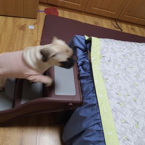베스트 후기 이미지