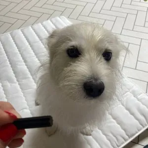 베스트 후기 이미지